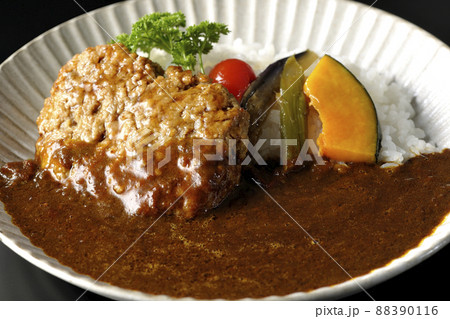 野菜の煮浸しとパセリ添えの粗びきハンバーグカレーを黒背景で撮影 88390116