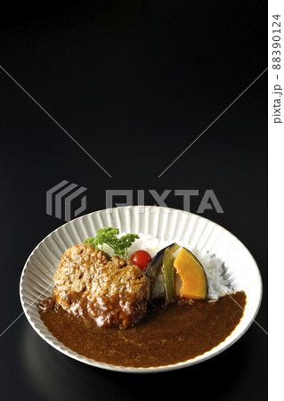 野菜の煮浸しとパセリ添えの粗びきハンバーグカレーを黒背景で撮影 野菜の煮浸しとパセリ添えの粗びきハンバーグカレーを黒背景で撮影 88390124