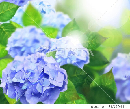 梅雨の時期に咲く美しい薄紫色と水色のあじさいと葉っぱの光差し込むボケの背景イラスト素材のイラスト素材 0414