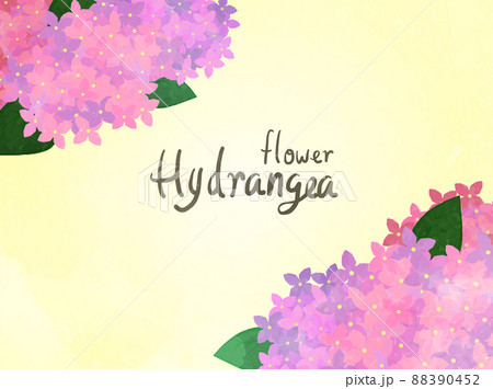 かわいいあじさいのバックイラスト 黄色Ver かわいいあじさいのバックイラスト 黄色Ver 88390452