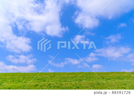 (埼玉県)春の空と新緑・荒川土手の景色 (埼玉県)春の空と新緑・荒川土手の景色 88391726