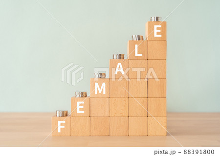女性のイメージ｜「FEMALE」と書かれた積み木とコイン 88391800