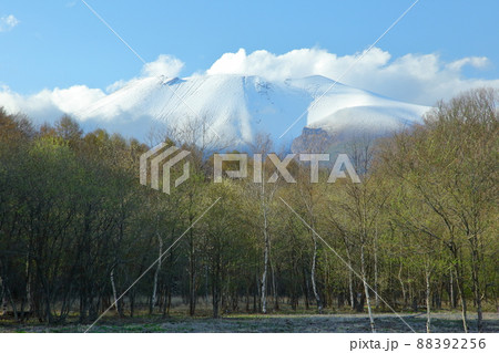 浅間山　春の冠雪 88392256