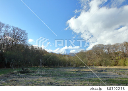 浅間山 春の冠雪 浅間山 春の冠雪 88392258