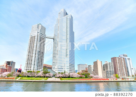 聖路加タワー周辺(東京都中央区)【2022.4】 88392270