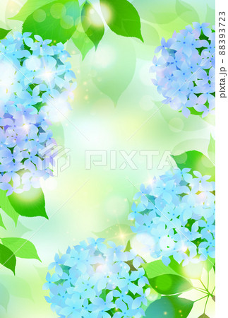 あじさい 梅雨 花 背景のイラスト素材 3723