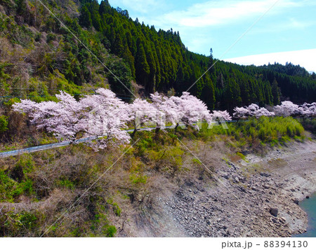 桜の名所の日向神ダムをドローンで空撮 88394130