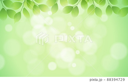新緑の葉と玉ボケの光のベクターイラスト背景(フレッシュ,コピースペース) 88394729