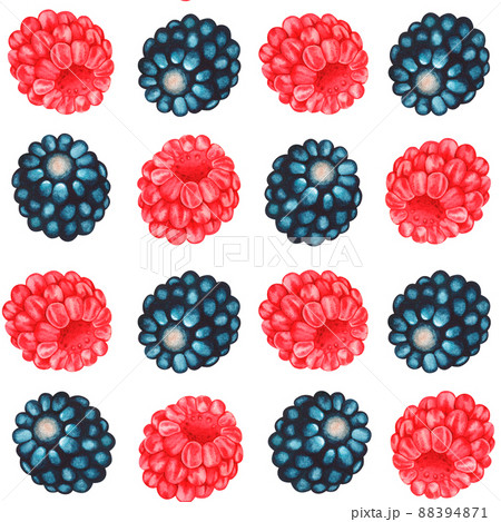Raspberry and blackberry seamless pattern. Watercolor illustration. Isolated on a white background. Raspberry and blackberry seamless pattern. Watercolor illustration. Isolated on a white background. 88394871
