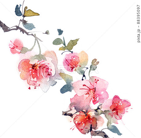 Blossom tree branch Blossom tree branch 88395097