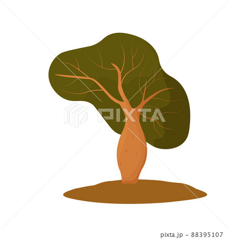 Baobab vector stock illustration. Boab. Isolated on a white background. 88395107