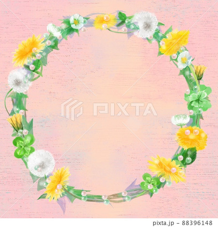 植物画たんぽぽ＊シロツメクサ＊アカツメクサ 植物画たんぽぽ＊シロツメクサ＊アカツメクサ シロツメクサと