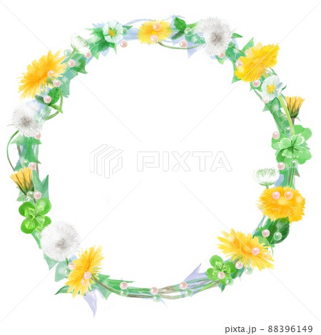 植物画たんぽぽ＊シロツメクサ＊アカツメクサ 植物画たんぽぽ＊シロツメクサ＊アカツメクサ
