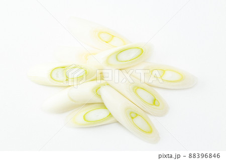 カットした長ネギ 白バック カットした長ネギ 白バック 88396846