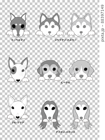 狗正面(帶手))5犬種9犬組)灰度 狗正面(帶手))5犬種9犬組)灰度 88397149