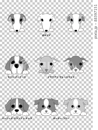 Dog's front face (with hand)) 5 dog breeds 9 dogs set) Gray scale Dog's front face (with hand)) 5 dog breeds 9 dogs set) Gray scale 88397151