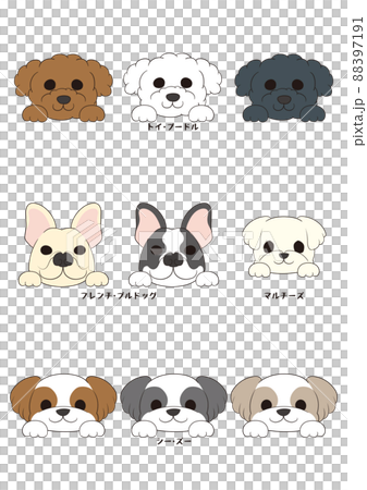 Dog's front face (with hand)) 4 dog breeds 9 dogs set) Full color 88397191