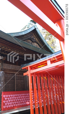 縁結びで有名な神社の本殿と鳥居 縁結びで有名な神社の本殿と鳥居 88398078