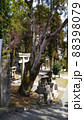 鳥居と狛犬と灯篭 88398079