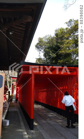 縁結びで有名な神社の鳥居 縁結びで有名な神社の鳥居 88398082