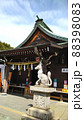 神社の境内と狛犬 88398083