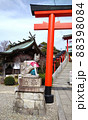 縁結びで有名な神社の鳥居と狛犬 88398084