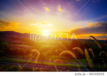 Beautiful sunset at Khaoyai Beautiful sunset at Khaoyai 88399009