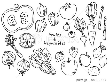 手描き野菜イラスト素材 手描き野菜イラスト素材 88399825