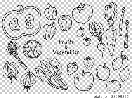 手描き野菜イラスト素材 手描き野菜イラスト素材 88399825