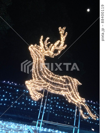 トナカイのイルミネーションの写真素材 [88400119] - PIXTA