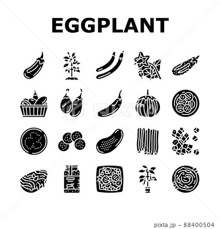 Eggplant Vitamin Bio Vegetable Icons Set Vector 88400504