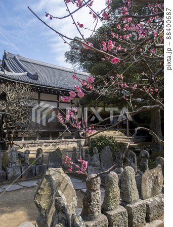 円覚寺　方丈 88400687