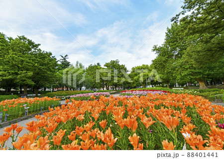 千種公園 千種公園 88401441