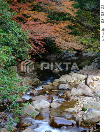 那賀川水系　秋の谷峡 88402422