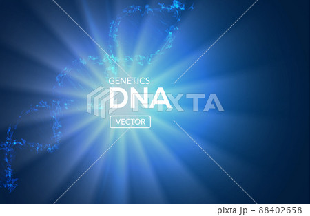 DNA vector background biology molecule science gene. Biotechnology genetic chemistry scientific DNA vector background biology molecule science gene. Biotechnology genetic chemistry scientific 88402658