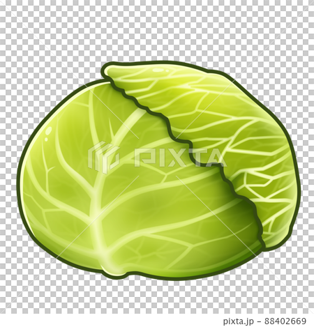 白菜插圖素材 白菜插圖素材 88402669