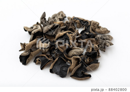 きくらげ きくらげ 88402800