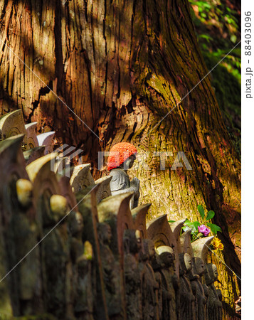 光に照らされた赤い頭巾の地蔵 88403096