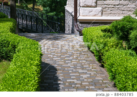 a stone tile path paved in the backyard with green clipped boxwood bushes at the corner of the facade of the house made of decorative rough stone and a storm sewer on a sunny summer day. a stone tile path paved in the backyard with green clipped boxwood bushes at the corner of the facade of the house made of decorative rough stone and a storm sewer on a sunny summer day. 88403785