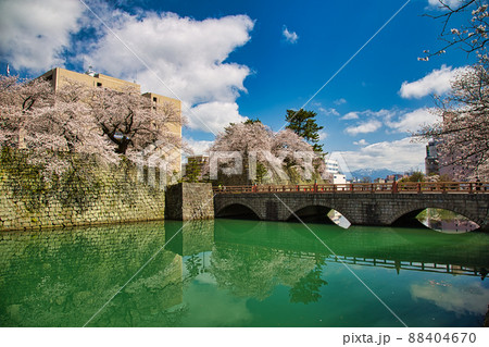 さくら―福井県庁 88404670