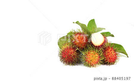 Rongrien Nasan Rambutan is  the most famous rambutan species in Thailand , isolated on white 88405197