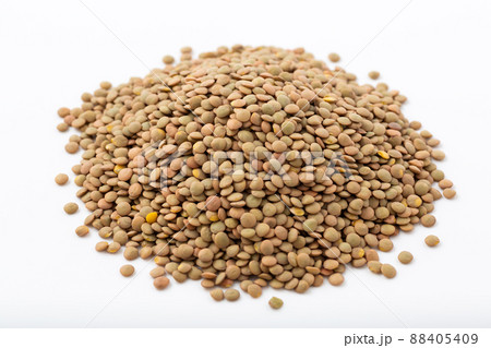 レンズ豆 88405409