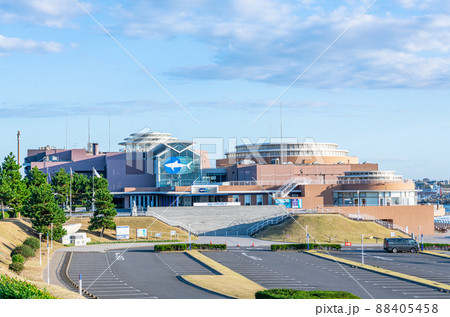 茨城県　関東最大規模の水族館　アクアワールド茨城県大洗水族館 88405458