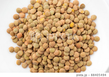 レンズ豆 88405494