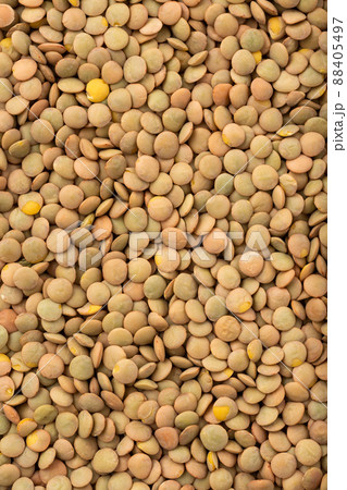 レンズ豆 レンズ豆 88405497