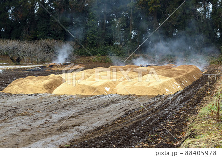 もみ殻　くん炭 88405978