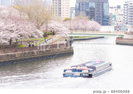 大阪の水上バス 大阪の水上バス 88406088