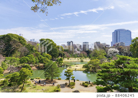 【東京都】早春の六義園 88406245