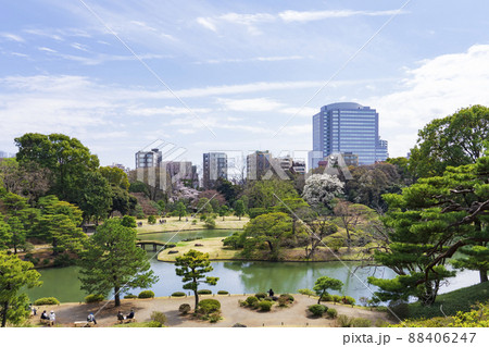 【東京都】早春の六義園 【東京都】早春の六義園 88406247
