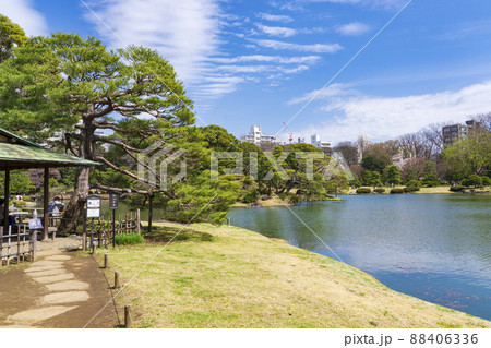 【東京都】早春の六義園 【東京都】早春の六義園 88406336